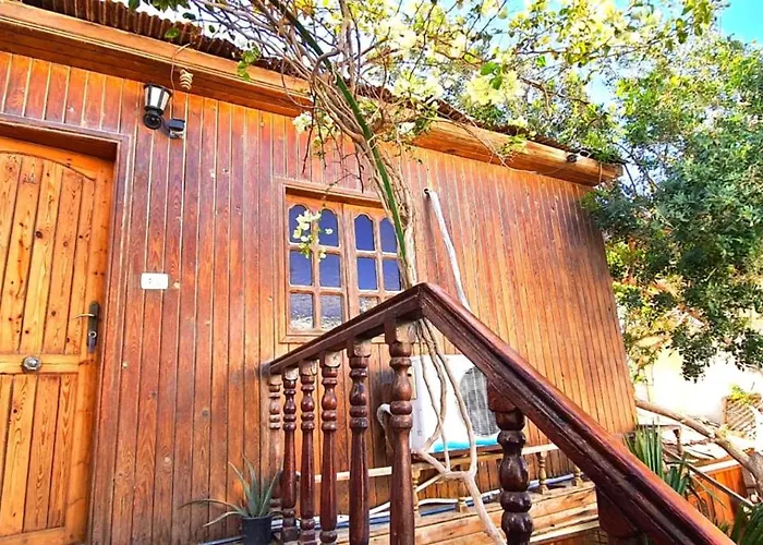 Neptune Hostel *