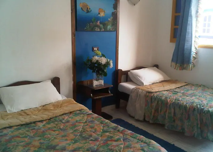 Neptune Hostel *