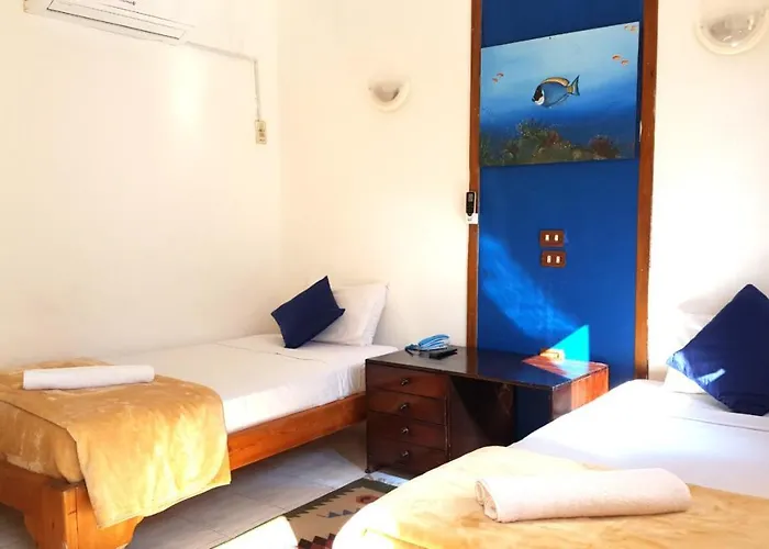 Neptune * Dahab