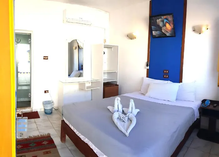 Neptune Hostel Dahab