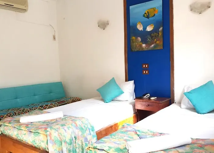 Hostel Neptune Dahab