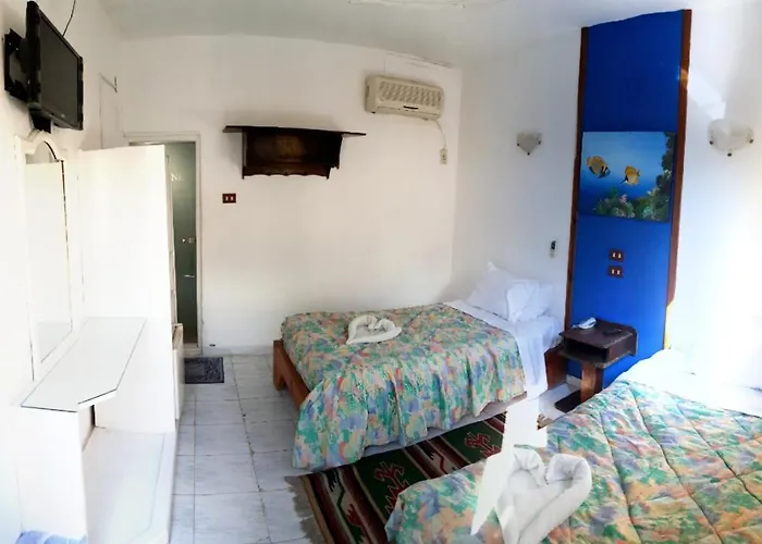Hostel Neptune *